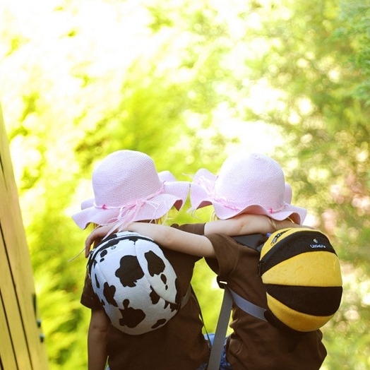 Plecaczek ze smyczą    Pszczoła Plecaczek ze smyczą    Pszczoła