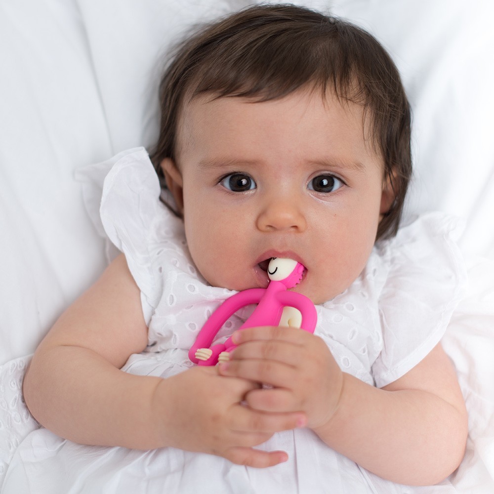 Matchstick Monkey, Gryzak Masujący ze Szczoteczką jasny niebieski