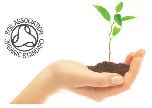 Bentley Organic, GŁĘBOKO OCZYSZCZAJĄCE Mydło z Oliwek, Olejku Herbacianego i Eukaliptusa 150g Bentley Organic, GŁĘBOKO OCZYSZCZAJĄCE Mydło z Oliwek, Olejku Herbacianego i Eukaliptusa 150g