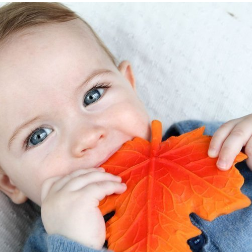 Lanco, Gryzak Listek Klonu